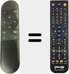 Telecomando sostituto di BRC0221109/01 (30076474)