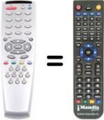 Telecomando equivalente Grandin 55FV05