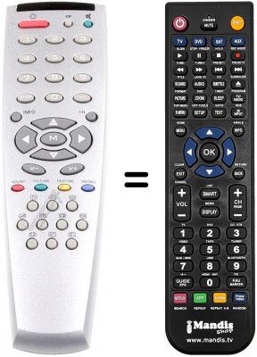 Telecomando equivalente Grandin 55FV05