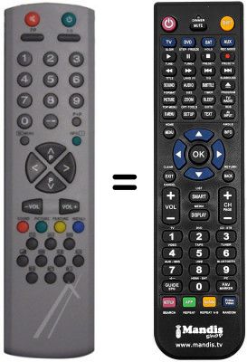 Telecomando equivalente Techwood TK2907RF