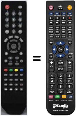 Telecomando equivalente HVS53238