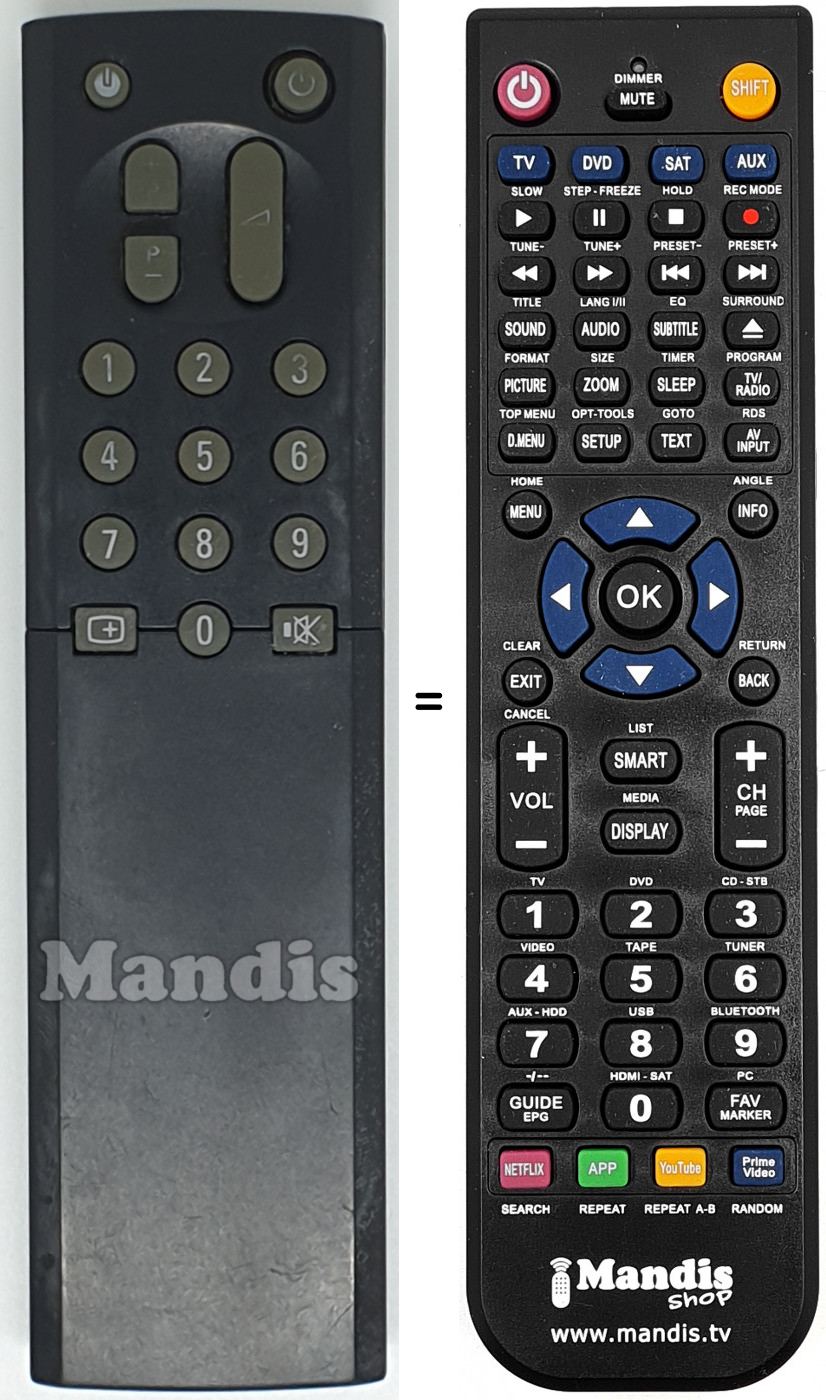 Telecomando equivalente RC9076/00B