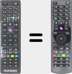 Telecomando originale RC 4870 (30085964)