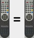 Telecomando originale RC1180 (20484998)