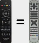 Telecomando originale RC 1063 (30050086)