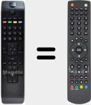 Telecomando originale RC 1910 (30070046)
