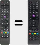 Telecomando originale RC 4875 (30087730)