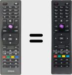 Telecomando originale RC 4875 (30087730)