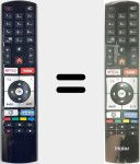 Telecomando originale RC4318P (0530054938)