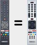 Telecomando originale RC43136P (23656429)