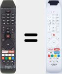 Telecomando originale RC43140 (30101745)