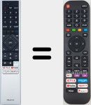 Telecomando universale Universal TV Hisense