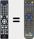 Telecomando sostituto di RC004UD (307010064009M)