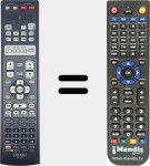 Telecomando sostituto di RC-1147 (307010070004D)