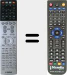 Telecomando sostituto di RAV503 (ZF270100)