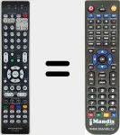 Telecomando sostituto di RC036SR (30701023700AS)