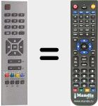 Telecomando sostituto di RC1241 (30043377)