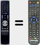 Telecomando sostituto di RL06R002X