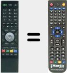 Telecomando sostituto di RTI95320500T2HDUK