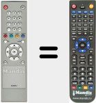 Telecomando sostituto di R25E1