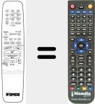 Telecomando sostituto di RC302S