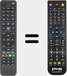Telecomando sostituto di RC4880 (23290474)