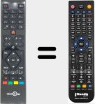Telecomando sostituto di RC39105 (23572709)