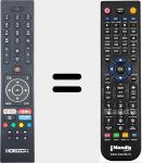 Telecomando sostituto di RC43135P (23574418)