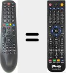 Telecomando sostituto di RC 4900 (30074871)