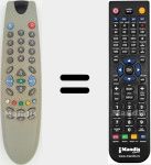 Telecomando sostituto di C29187F