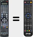 Telecomando sostituto di RC-1165 (30701010600AD)