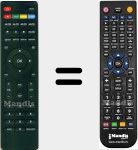 Telecomando sostituto di Videocon001