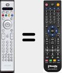 Telecomando sostituto di RC 4343 / 01 (313923810301)