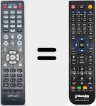 Telecomando sostituto di RC1249 (30701028810AD)