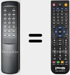 Telecomando sostituto di RC 0205 / 00 (482221810681)
