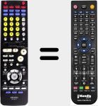 Telecomando sostituto di RC-917 (9630100203)