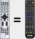 Telecomando sostituto di RC005 (RP5132RE)