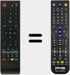 Telecomando sostituto di BM40L81+