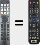 Telecomando sostituto di ERF2M36H-1 (T336860)