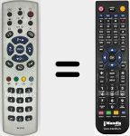 Telecomando sostituto di RC 2183 (313P10821831)