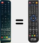 Telecomando sostituto di TRS001