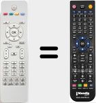 Telecomando sostituto di RC1205 (20505372)
