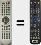 Telecomando sostituto di RC1900 (30065008)