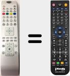 Telecomando sostituto di RC4800 (30077447)