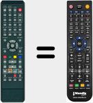 Telecomando sostituto di SE-R0307 (79104050)