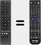 Telecomando sostituto di RC4610 (30076338)