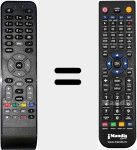 Telecomando sostituto di NS 1110