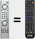 Telecomando sostituto di RC 1602