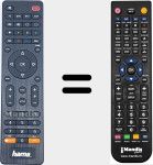 Telecomando sostituto di HAMA001