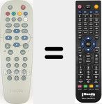 Telecomando sostituto di RC 19336002 / 01 (312814715161)